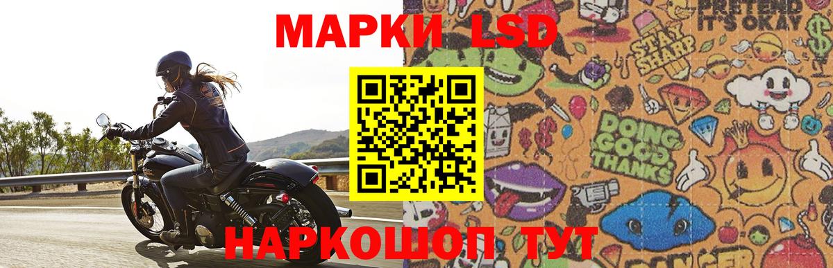 Котлас  LSD-25 экстази кислота  ЛСД экстази кислота  Вход с VPN 
