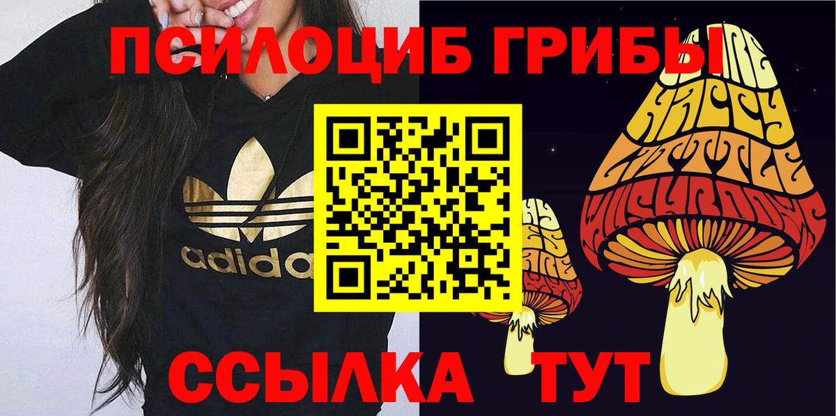 Марихуана  КОКАИН  Вход с VPN  МЕФ кристаллы  Котлас  ГАШИШ 