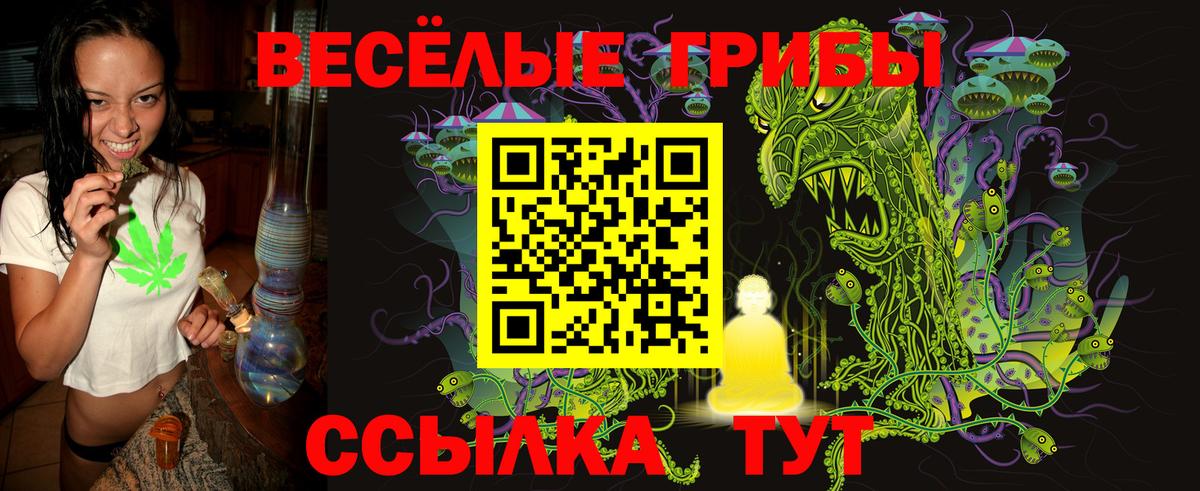 Котлас  Галлюциногенные грибы Psilocybine cubensis  Вход с VPN 