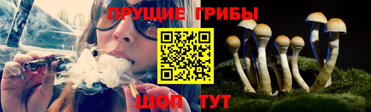 Псилоцибиновые грибы GOLDEN TEACHER Котлас